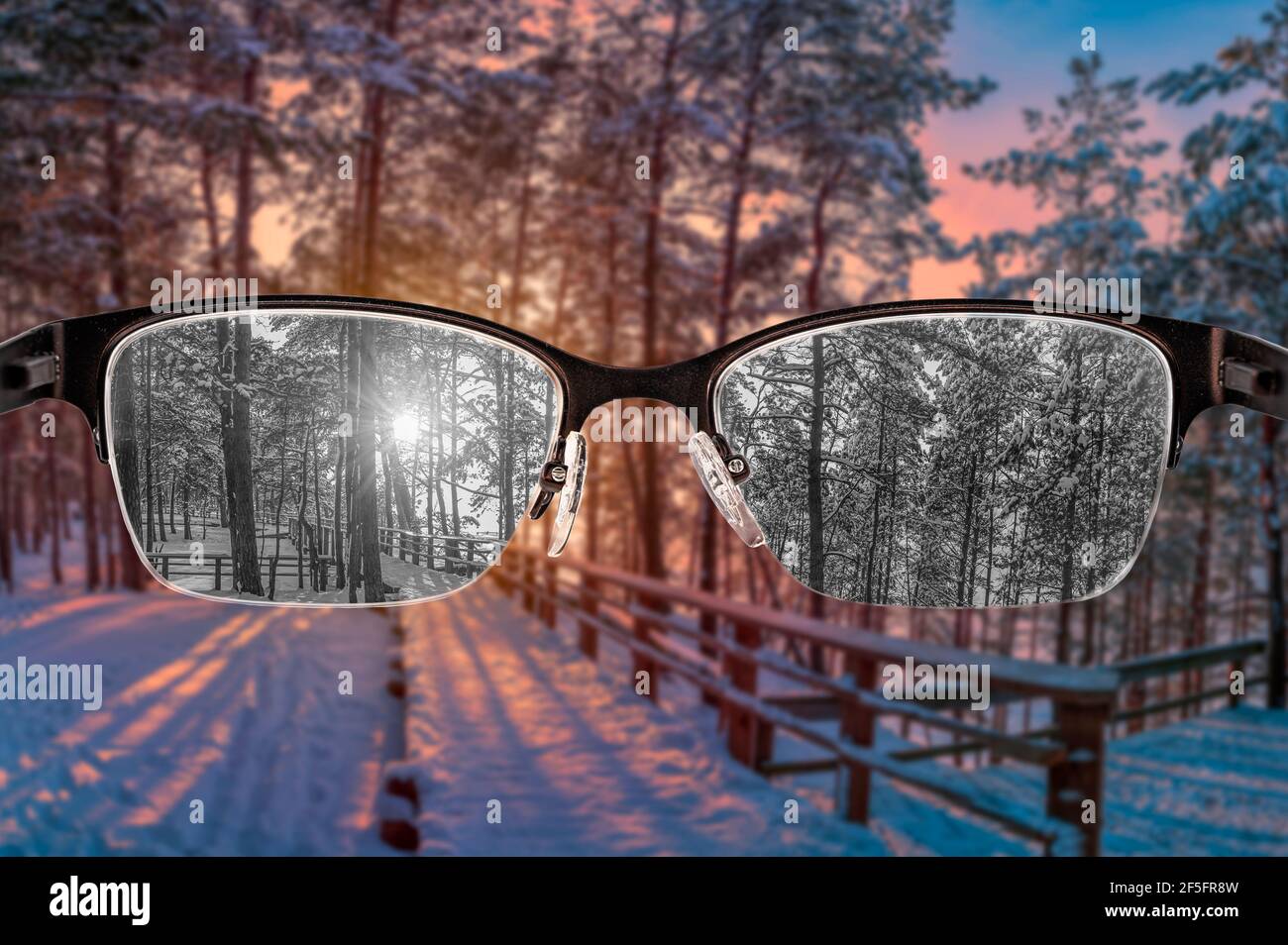 Blick durch die Brille zu schwarz-weiß Sonnenuntergang im Winter Wald Blick in Frauen Brille fokussiert. Farbblindheit. Weltwahrnehmung Stockfoto
