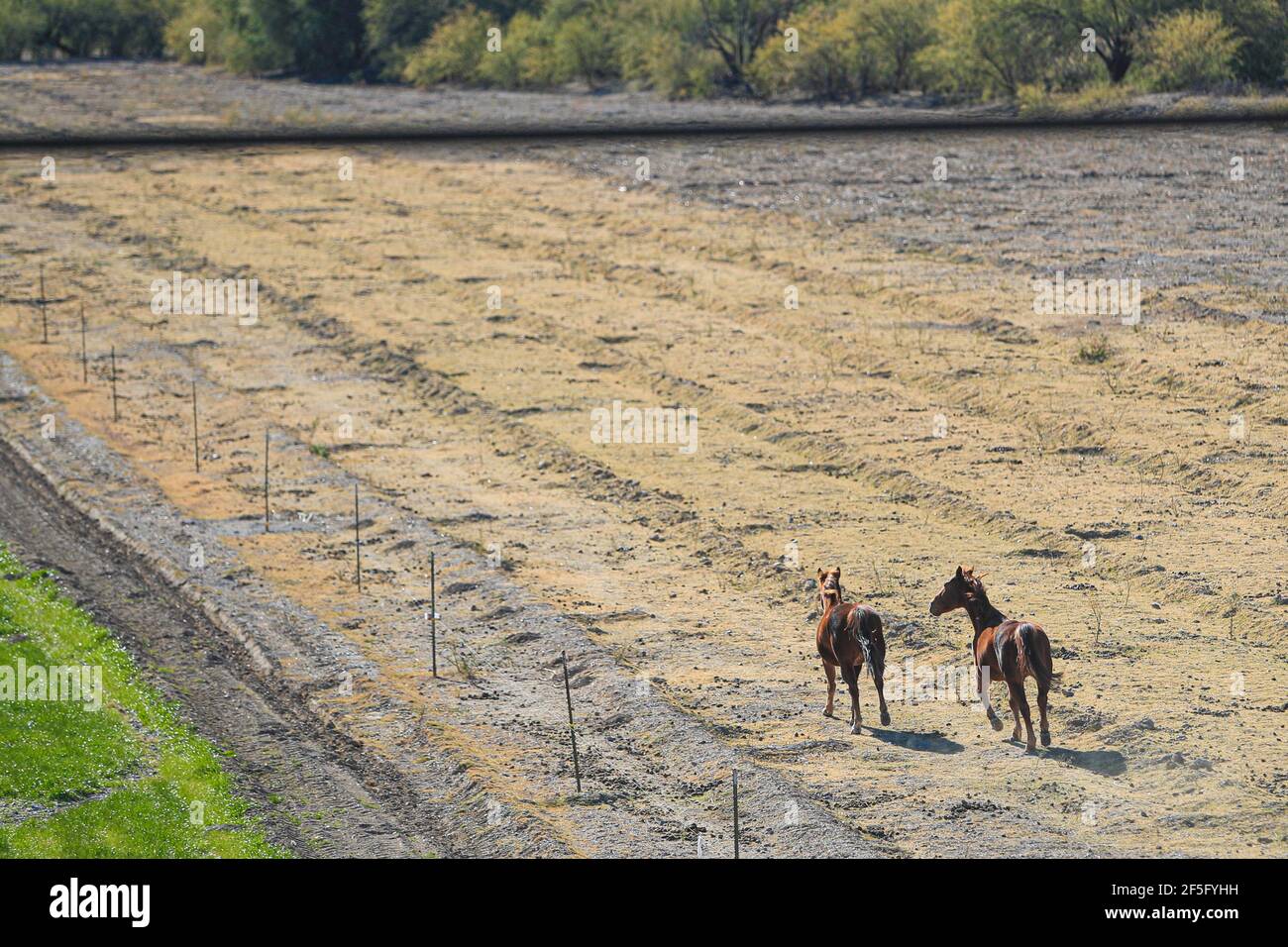 Saric, Sonora, Mexiko .... (Foto von LuisGutierrez /NortePhoto.com). . Die Gemeinde Saric liegt in einer Kriegszone zwischen Drogenkartellen und dem illegalen Einwanderungshandel nahe der Grenze von Sonora Mexiko zu Arizona USA. Der Krieg hat in der Gegend seit dem Bruch zwischen dem Chapo Guzmán-Clan und den Beltrán Leyva-Brüdern im Jahr 2007 bestanden. Zwischen Mexiko und den Vereinigten Staaten, dem begehrtesten Gebiet für kriminelle Gruppen, würde das Sinaloa-Kartell die Sonora-Grenzlinie in den Gebieten San Luis Río Colorado, Puerto Peñasco, General Plutarco Elías Calles, Caborca kontrollieren Stockfoto