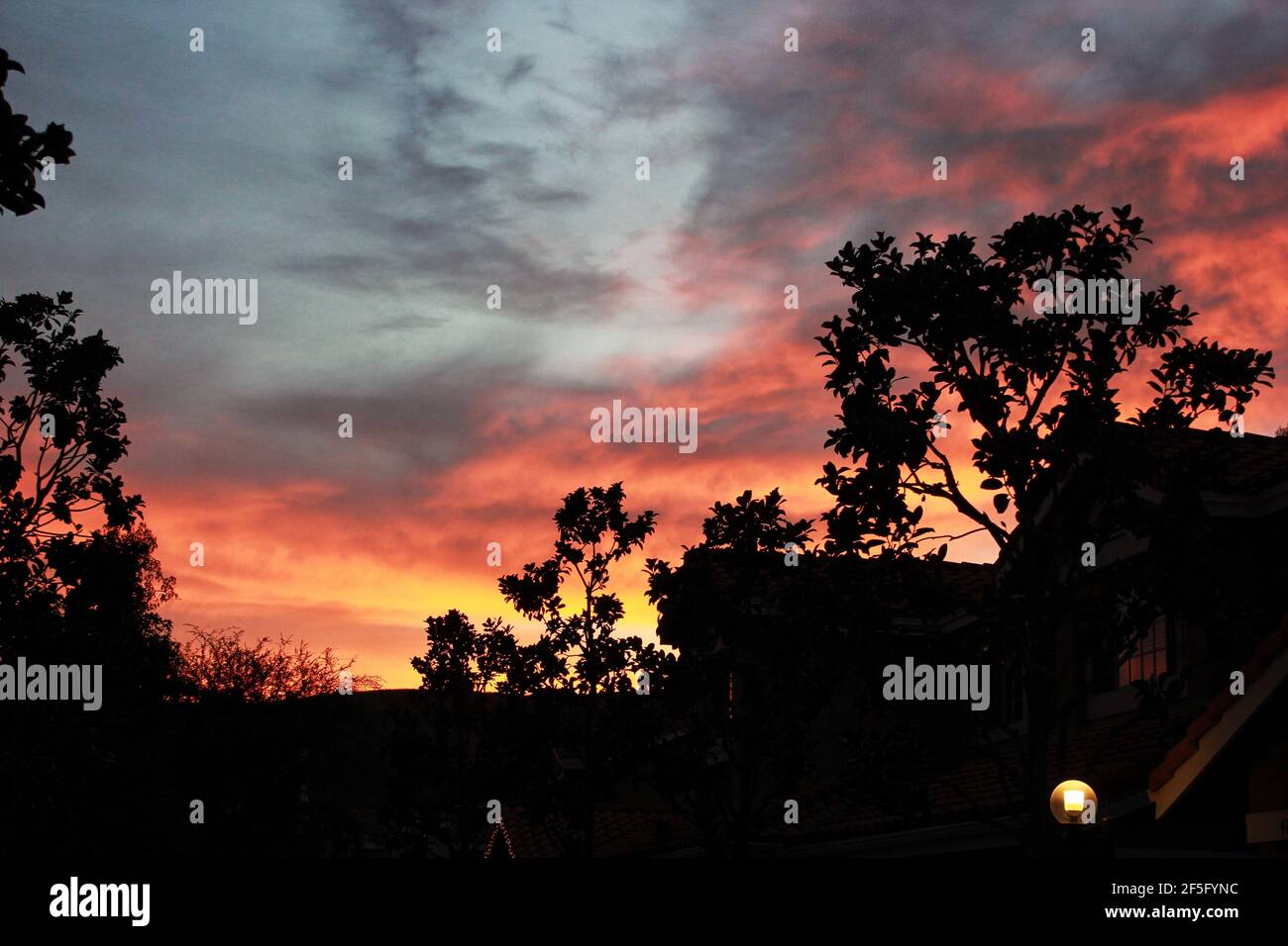 Sonnenuntergang an Halloween Stockfoto