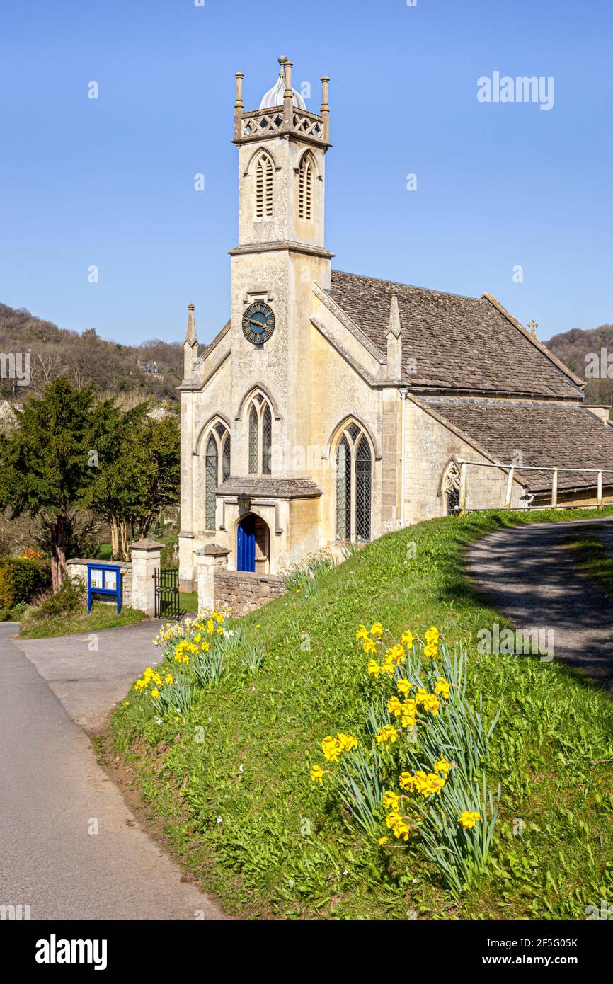Frühling in den Cotswolds - Narzissen neben der Kirche St. John im Dorf Sheepscombe, Gloucestershire UK Stockfoto