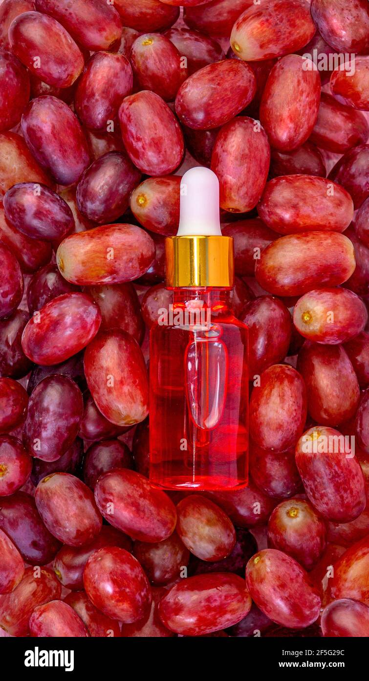 Close up rosa Traubenkernöl in einer Flasche, liegt auf den Beeren der roten, frischen, saftigen Trauben. Stockfoto