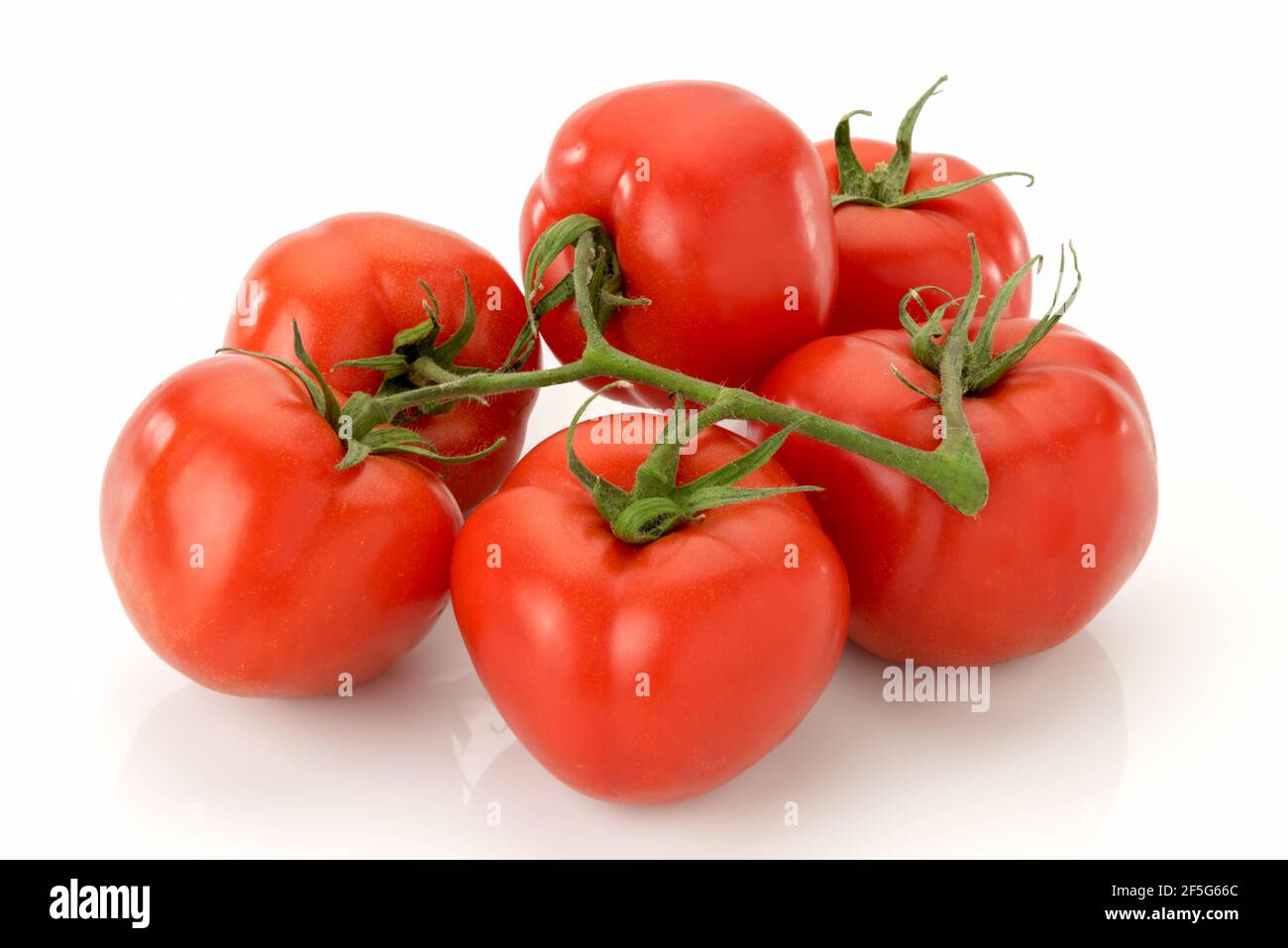 Tomaten isoliert auf weißem Hintergrund. Bündel von natürlichen Tomaten Stockfoto