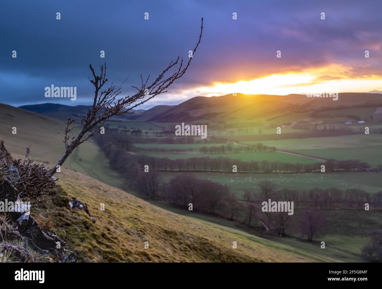 Ein Lichtstrahl aus EINEM Winteruntergang beleuchtet die sanfte Landschaft eines landwirtschaftlichen Tals in den schottischen Grenzen mit atmosphärischen weichen Fokus Stockfoto