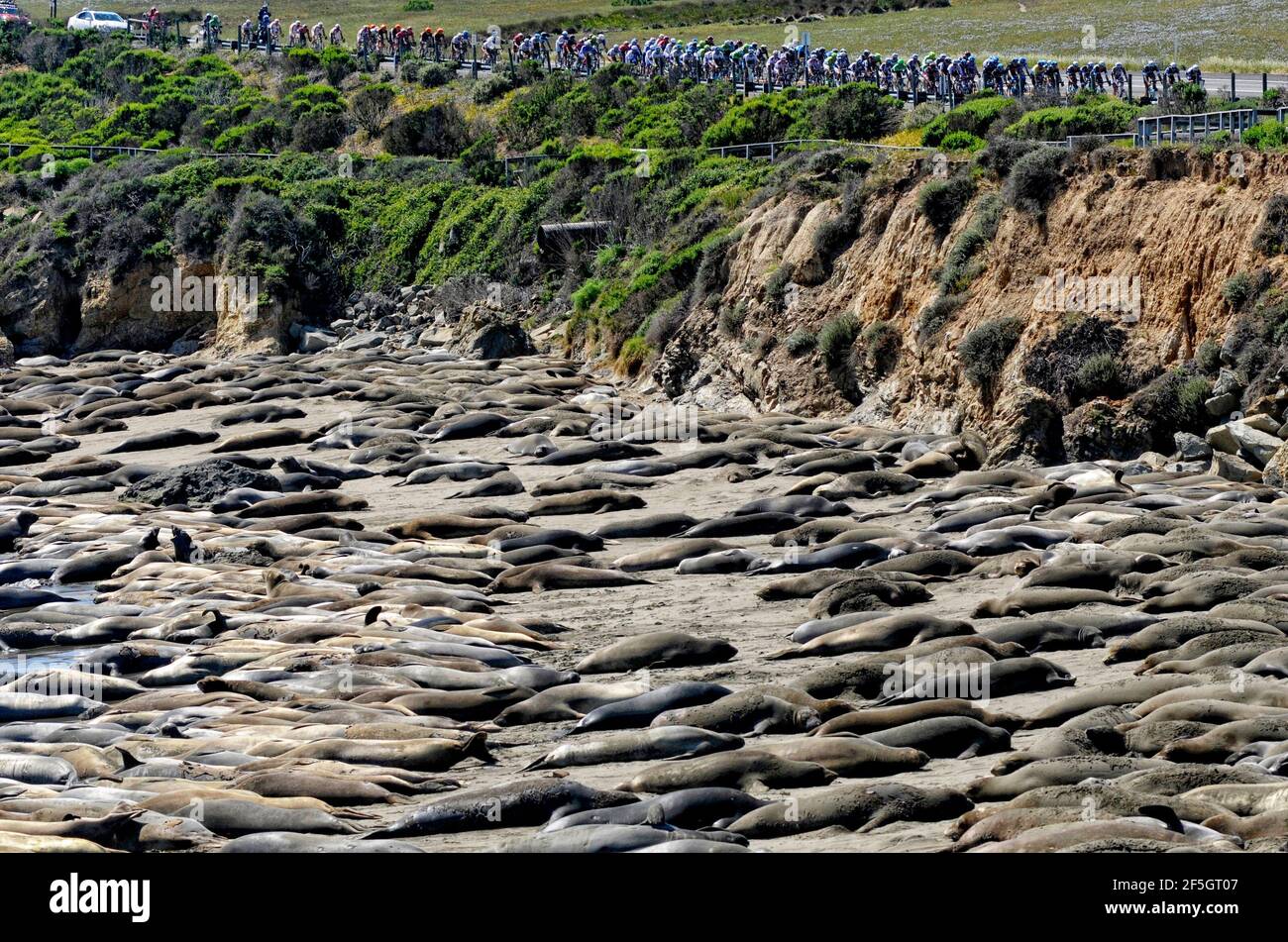 Radfahren mit dem Hauptfeld Stockfoto