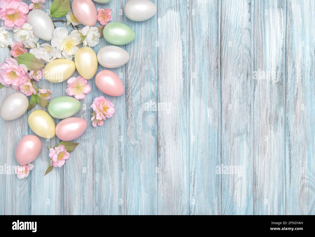 Ostereier und Frühlingsblüten auf blauem Holzhintergrund Stockfoto
