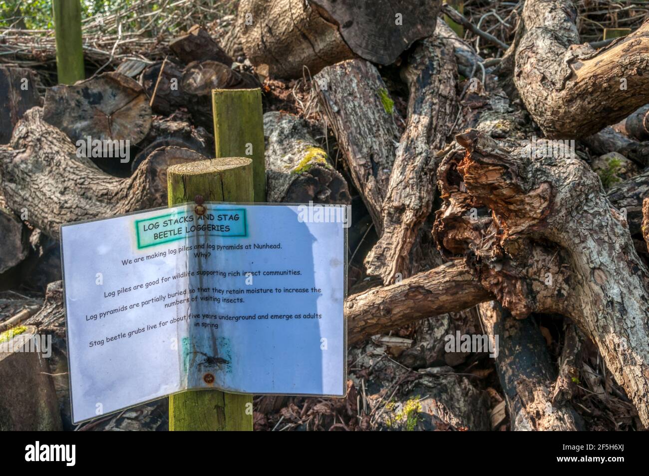 Ein Schild auf dem Nunhead Cemetery erklärt, dass die Holzstapel ein Paradies für Insekten, insbesondere Hirschkäfer, sein sollen. Stockfoto