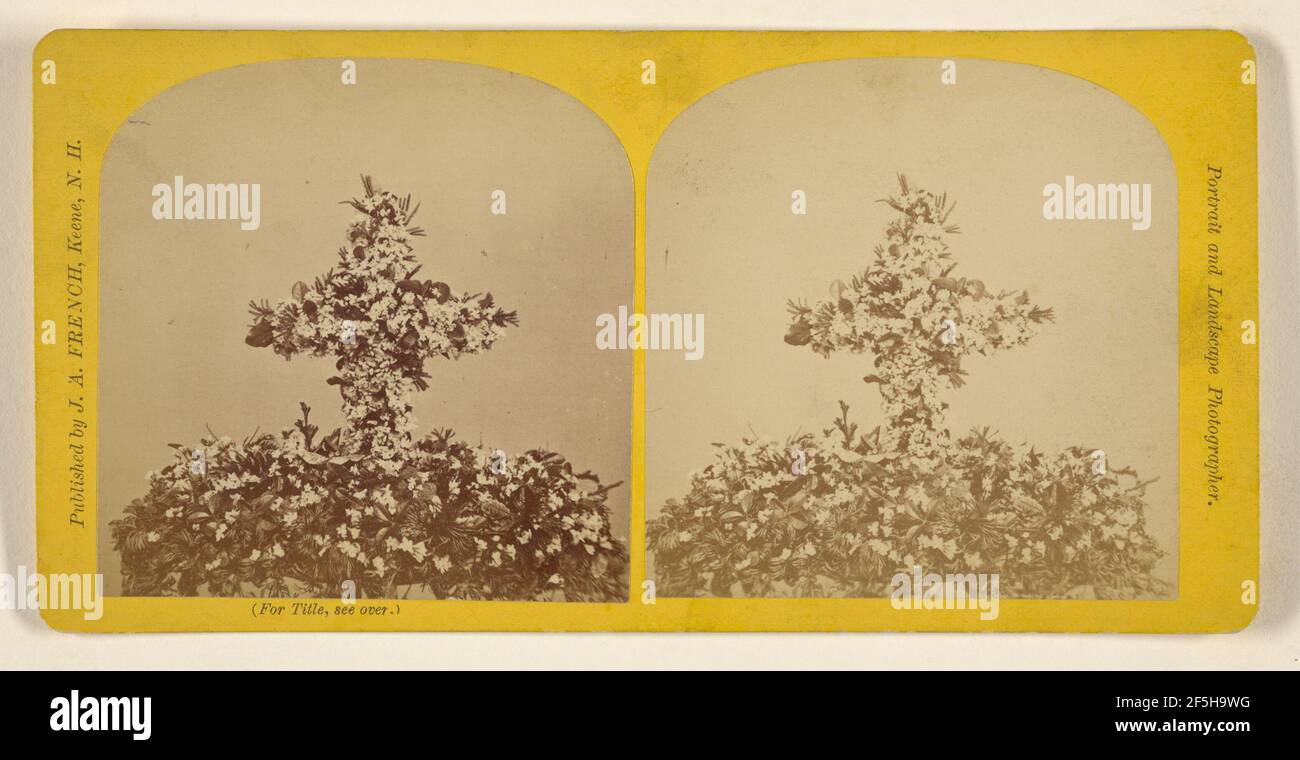 Kreuz des Trailing Arbutus.. Jotham A. Französisch (amerikanisch, 1834 - 1898) Stockfoto
