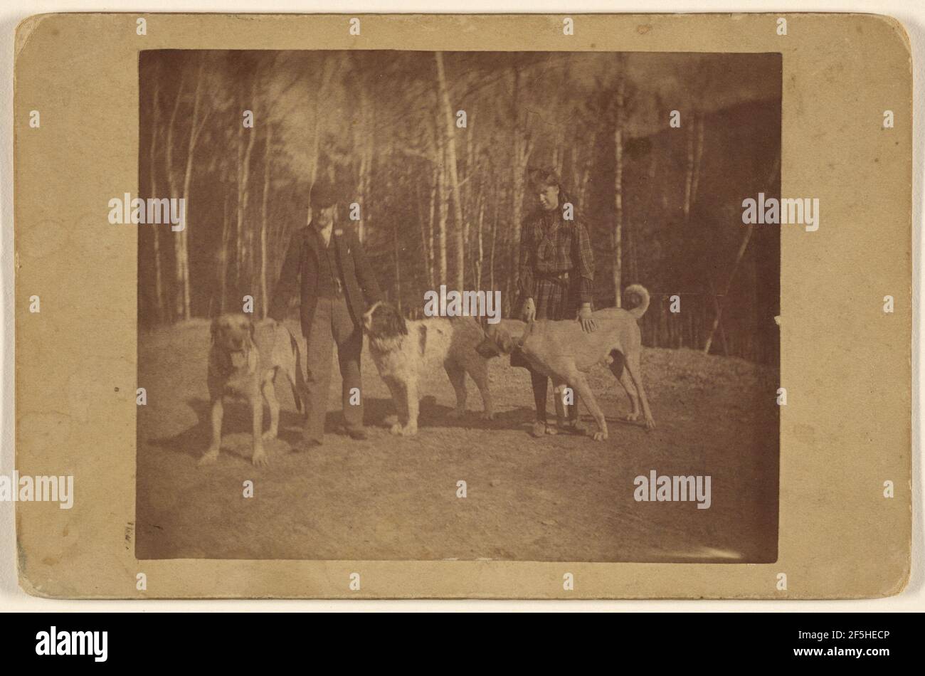 Bella, Herr Entow (?) & Hunde - The Ampersand / Saranac Lake N.Y.. Unbekannter Hersteller, Amerikaner Stockfoto