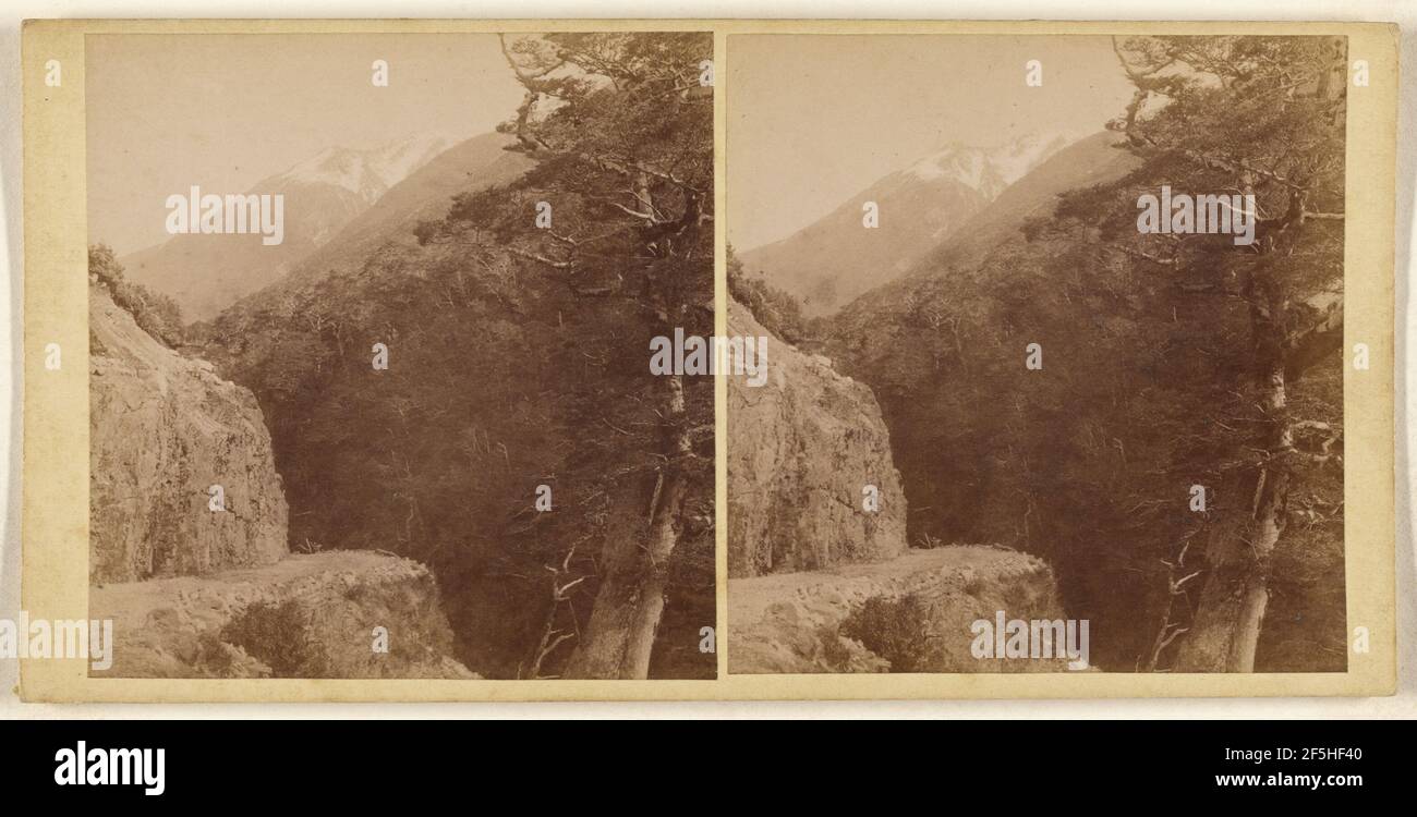 West Coast Road... Burton Brothers (Neuseeländer, gegründet 1866, aufgelöst 1914) Stockfoto