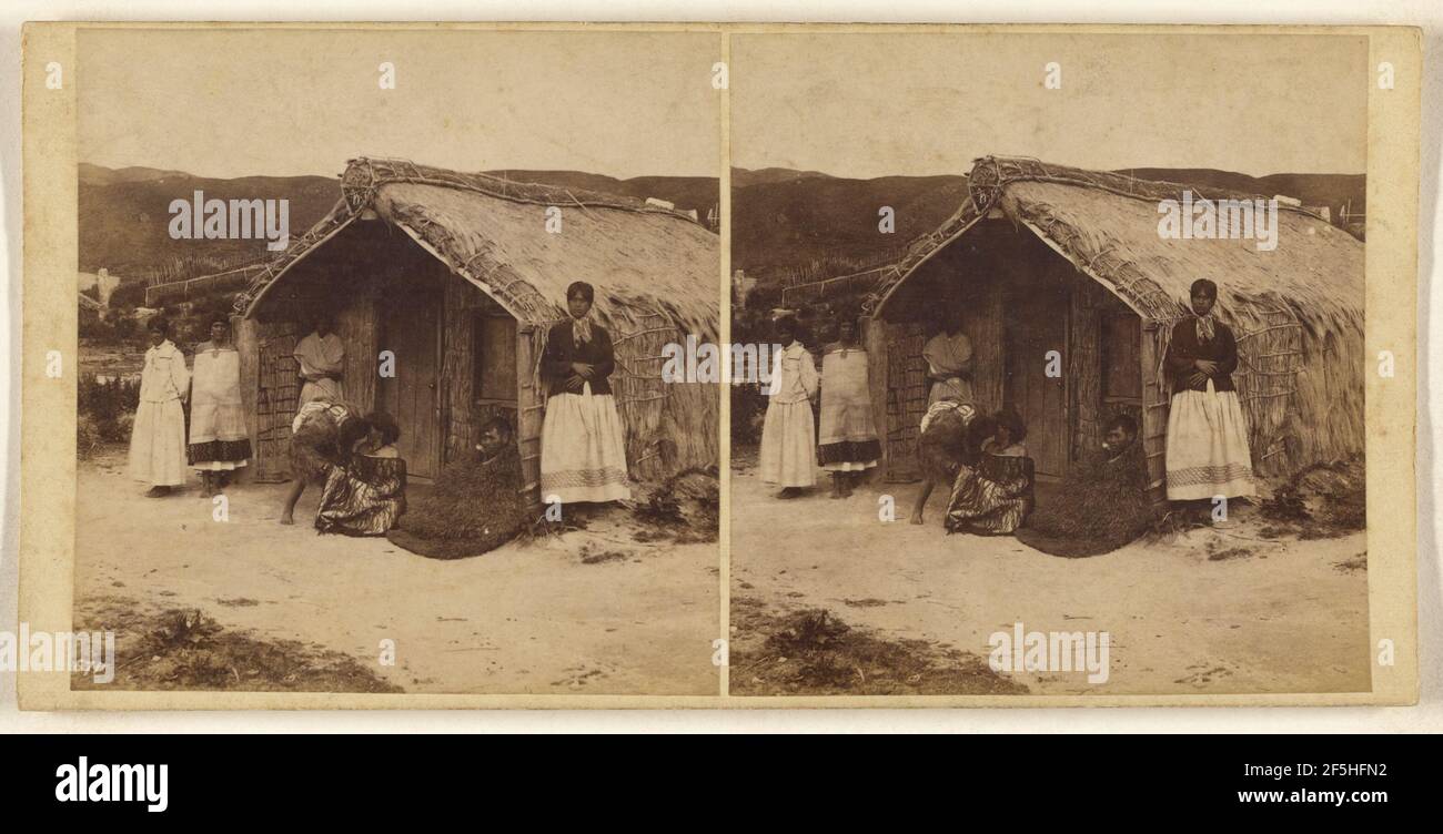 Ein 'Hongi' (Nasenreiben). Burton Brothers (Neuseeländer, gegründet 1866, aufgelöst 1914) Stockfoto