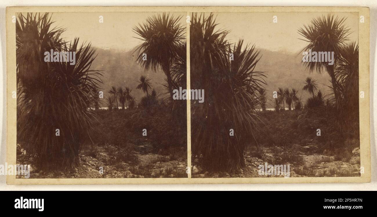 Lake Wanaka... Burton Brothers (Neuseeländer, gegründet 1866, aufgelöst 1914) Stockfoto