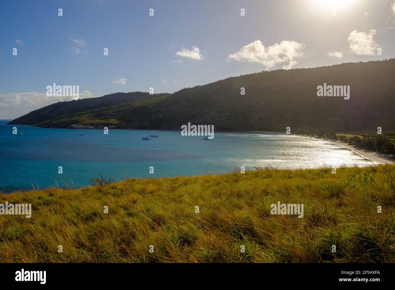 4 Nacht - Fly Dive Minke Whale Expedition - At Lizard Island Stockfoto