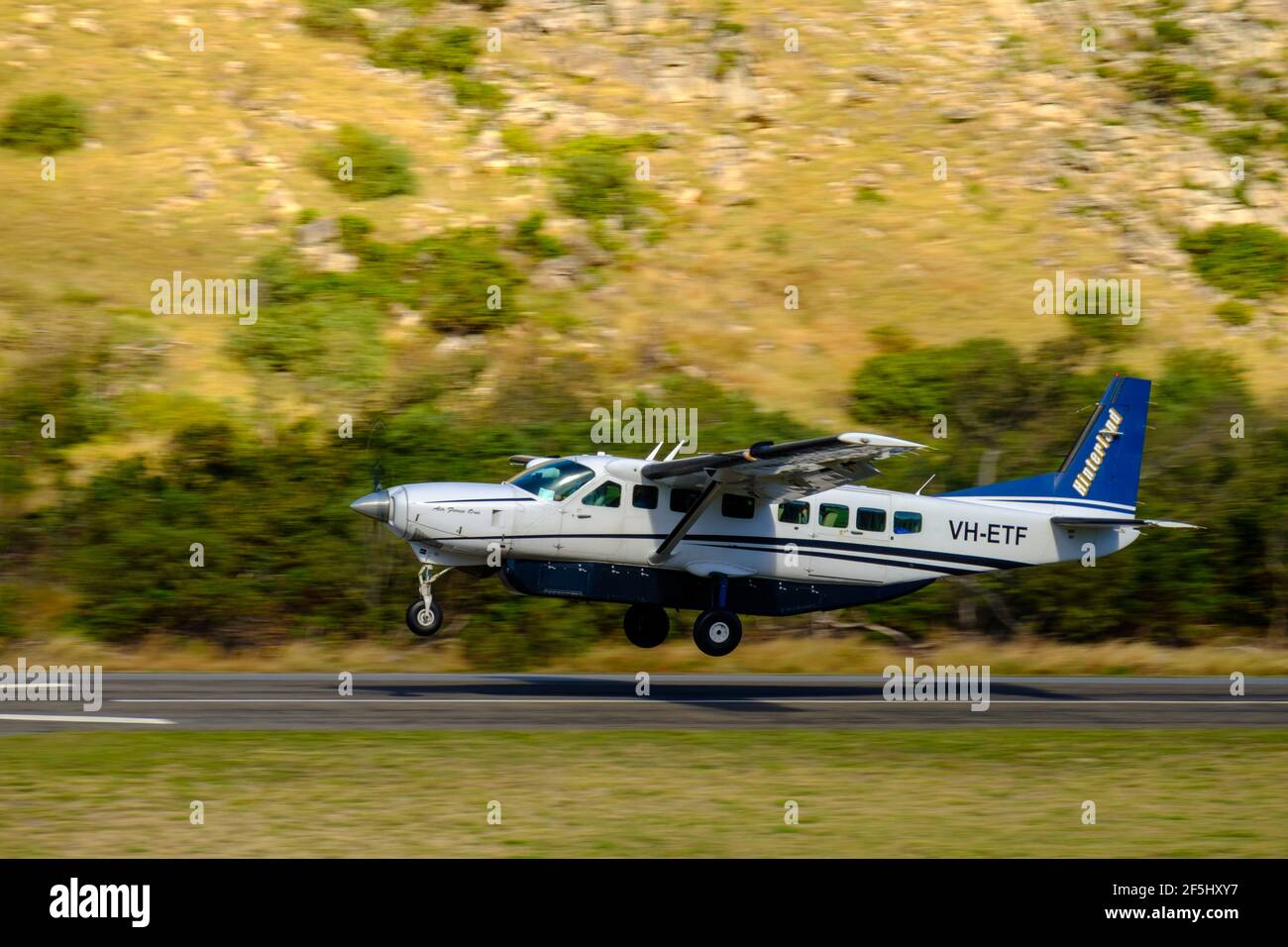 4 Nacht - Fly Dive Minke Whale Expedition - At Lizard Island Stockfoto