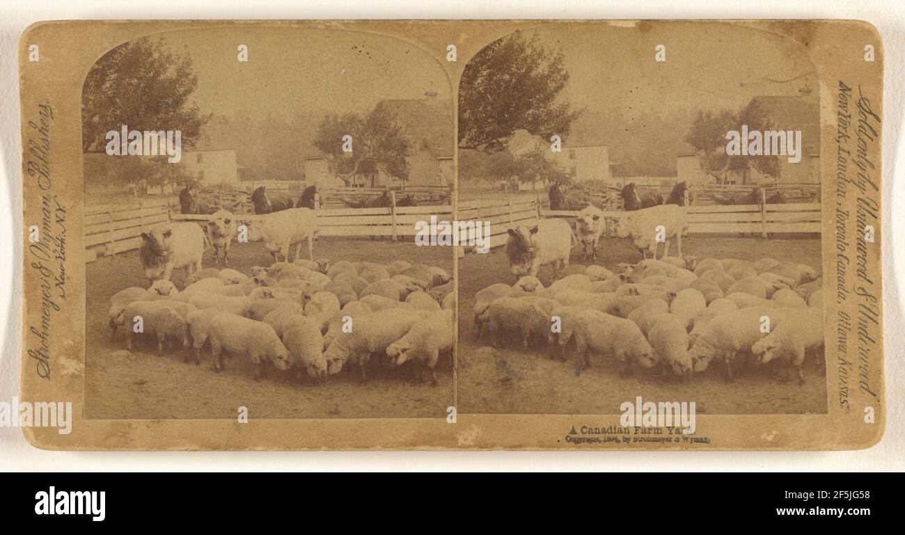 Ein kanadischer Farm Yard... Strohmeyer & Wyman Stockfoto