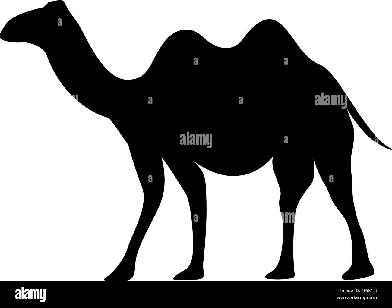 Camel Symbol Design Vorlage Vektor Illustration Stock Vektor