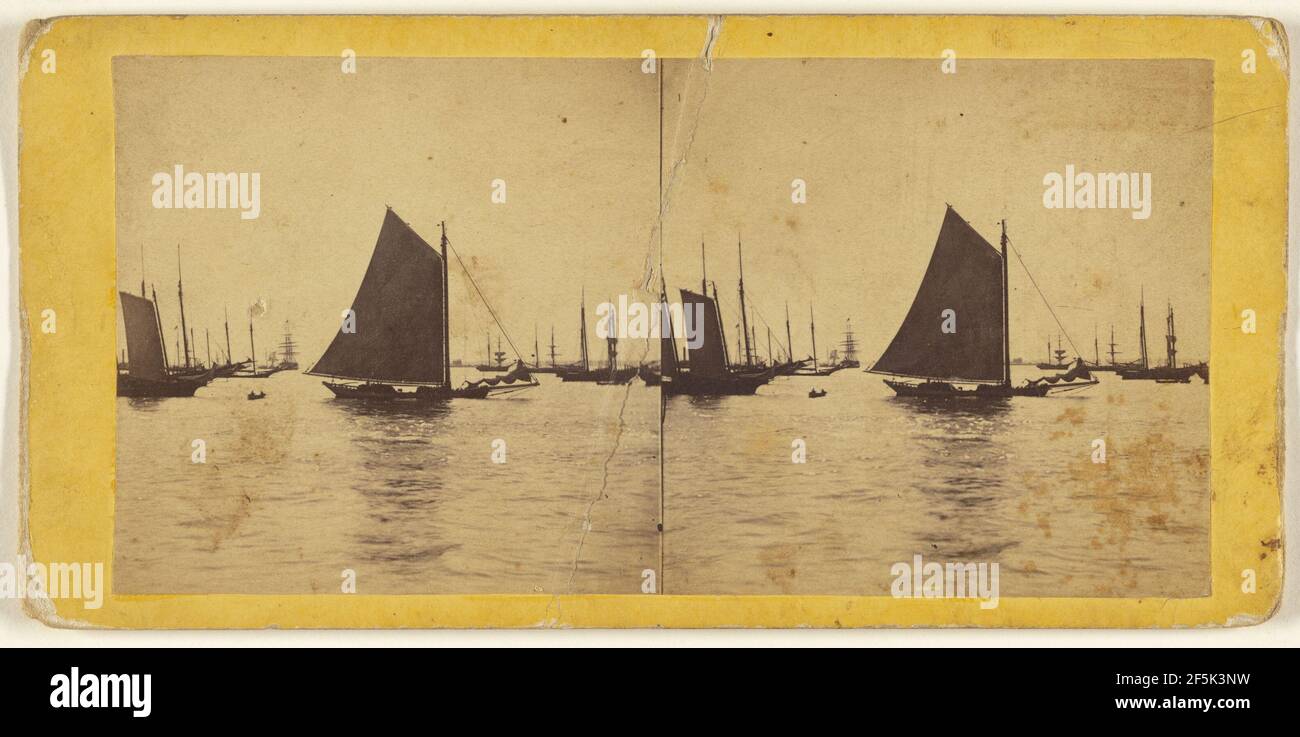 Flotte von Schiffen. - New-York Bay Szene.. Edward und Henry T. Anthony & Co. (Amerikaner, gegründet 1862, fusioniert 1902) Stockfoto