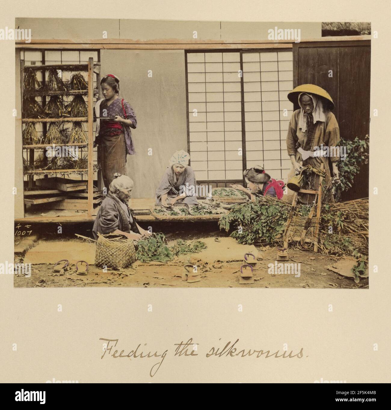 Füttern der Seidenraupen. Shinichi Suzuki (Japanisch, 1835 - 1919) Stockfoto