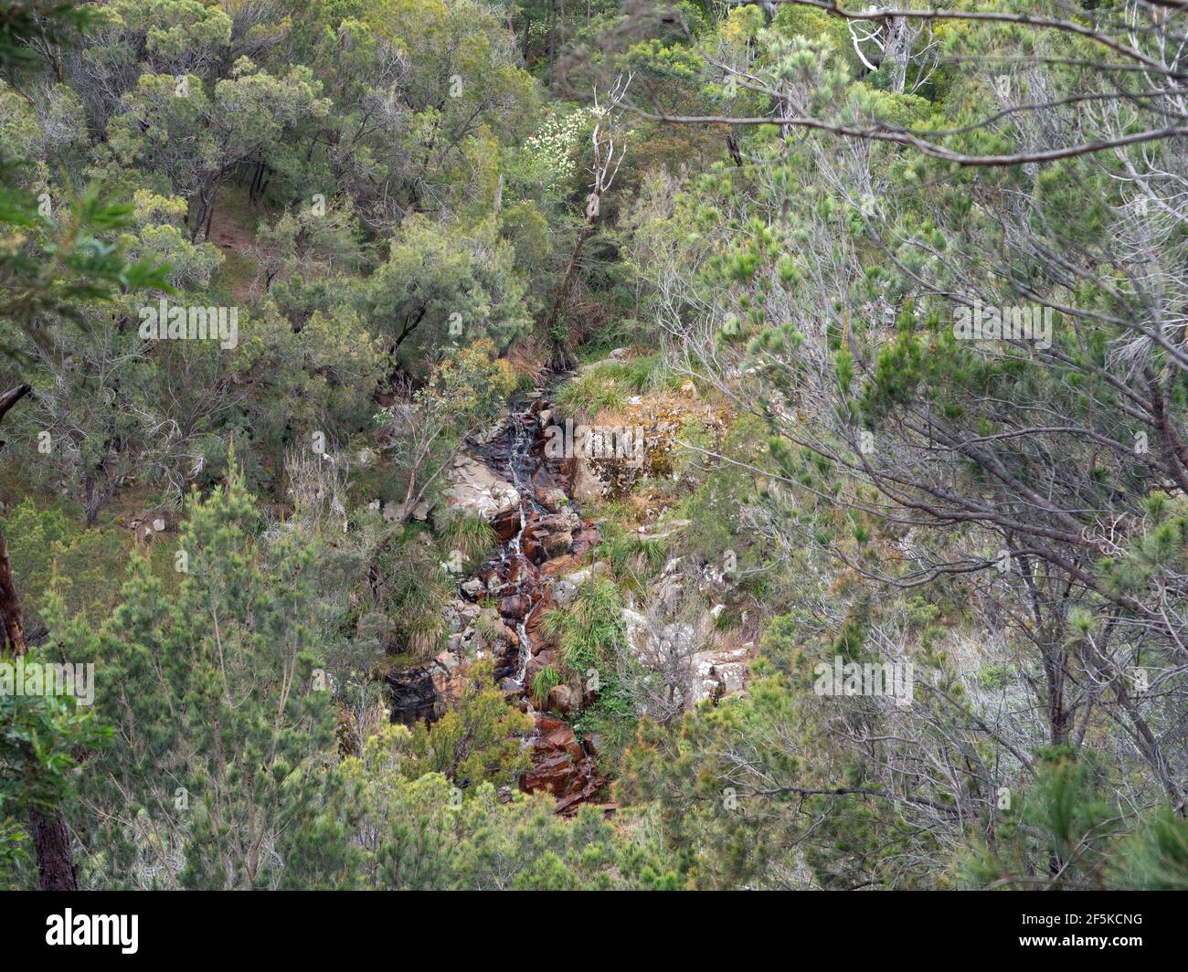 Kings Falls, Arthur's Seat, Victoria, Australien Stockfoto