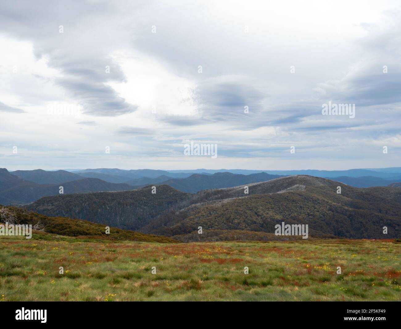 The View from Mount Stirling Loop Walking Track, on the Great Dividing Range, Victoria, Australien Stockfoto