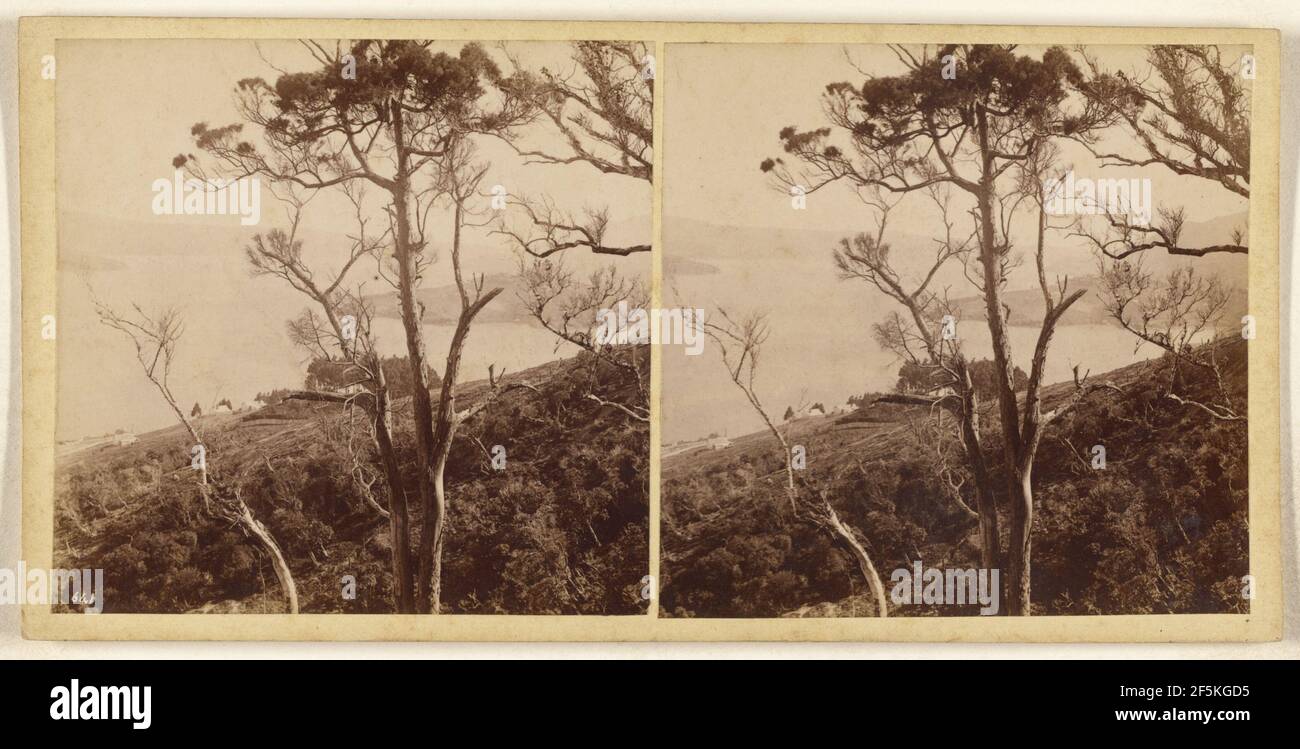 Blick auf Dunedin Hafen... Burton Brothers (Neuseeländer, gegründet 1866, aufgelöst 1914) Stockfoto