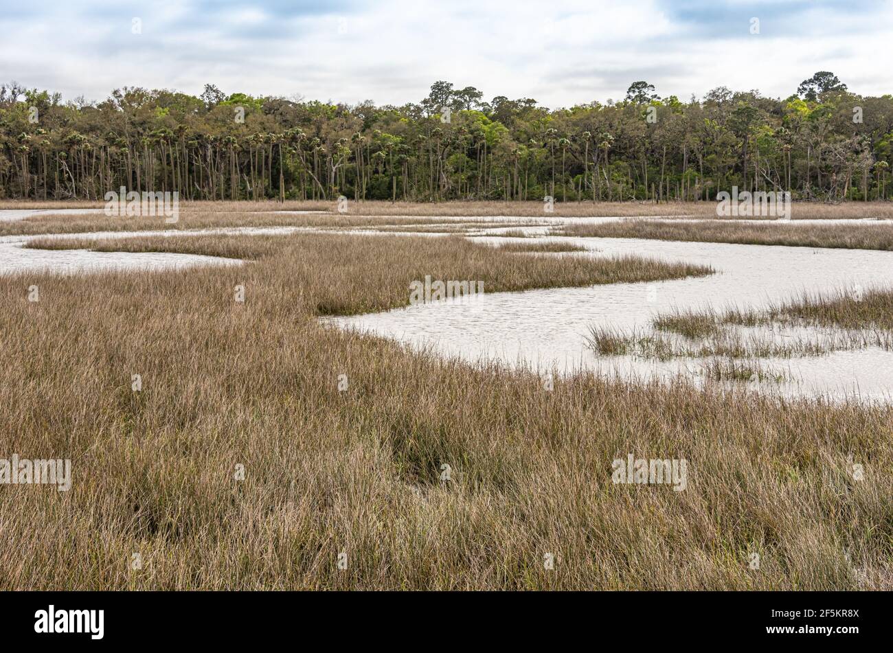 Round Marsh in der Theodore Roosevelt Bereich der Timucuan Ökologische und historische Preserve in der Nähe des St. Johns River in Jacksonville, Florida. (USA) Stockfoto