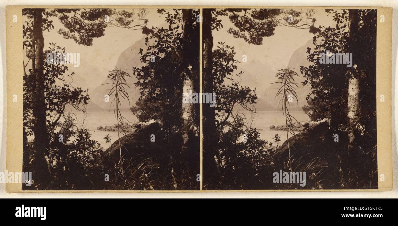 Milford Sound... Burton Brothers (Neuseeländer, gegründet 1866, aufgelöst 1914) Stockfoto