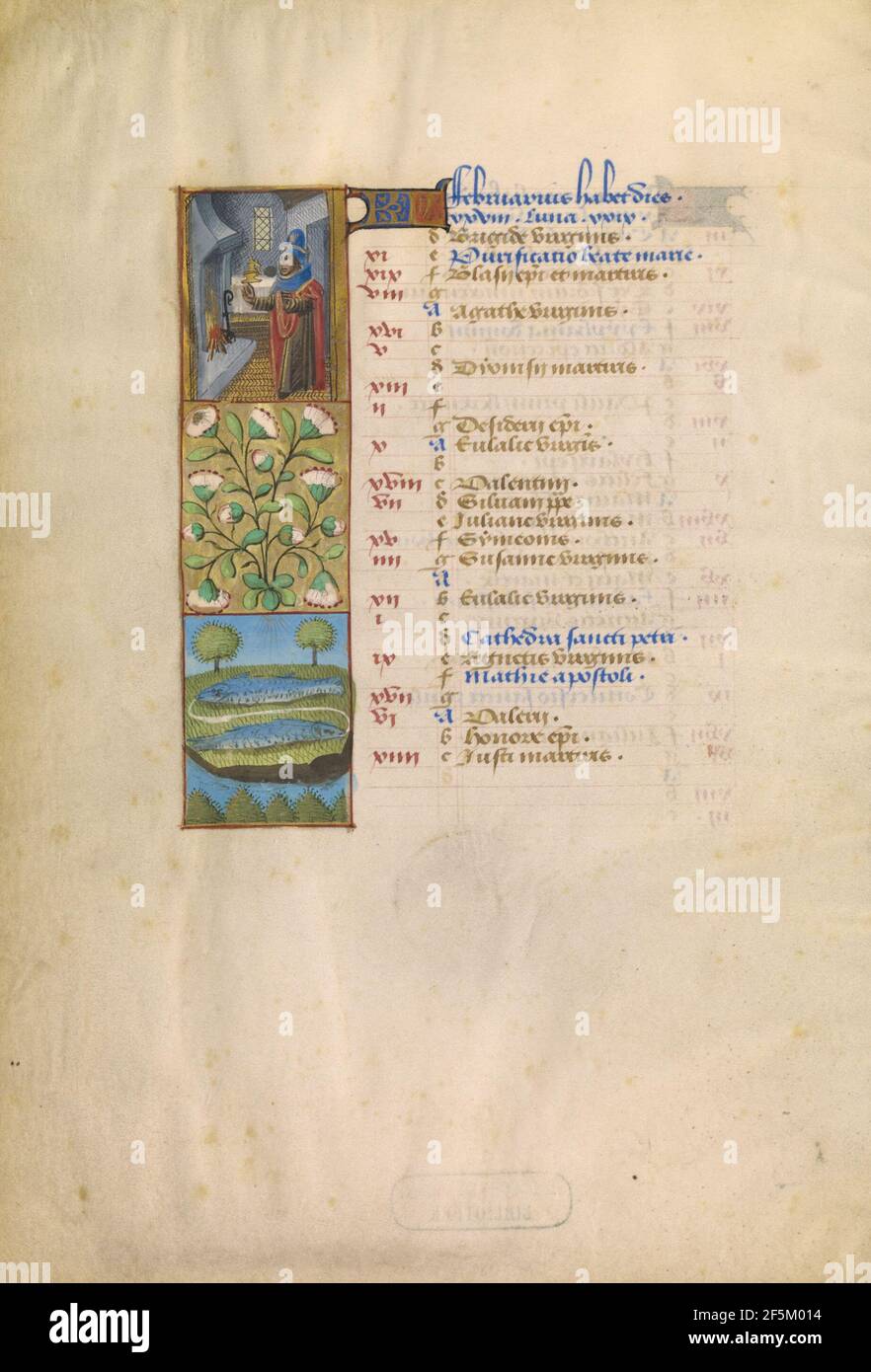 Februar Kalenderseite; Warmhalten; Fische. Unbekannt Stockfoto