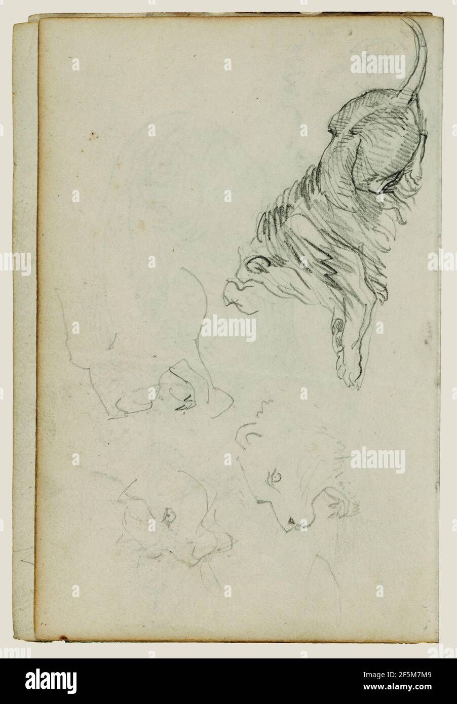 Vier Löwen Studien. Théodore Géricault (Französisch, 1791 - 1824) Stockfoto