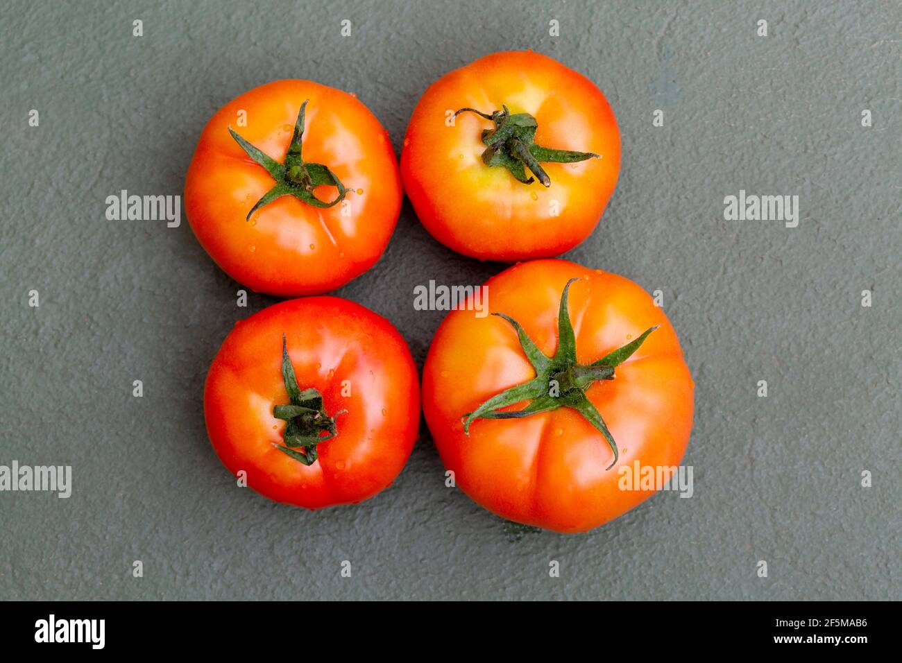 Gruppe von Tomaten isoliert auf Holzhintergrund. Stockfoto