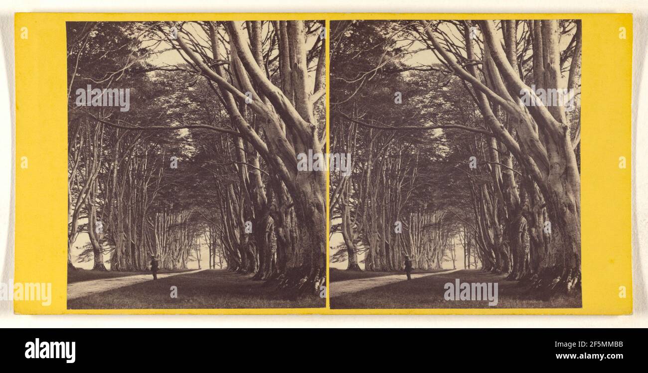 Dhu Loch Avenue, Inveraray. George Washington Wilson (Scottish, 1823 - 1893) Stockfoto