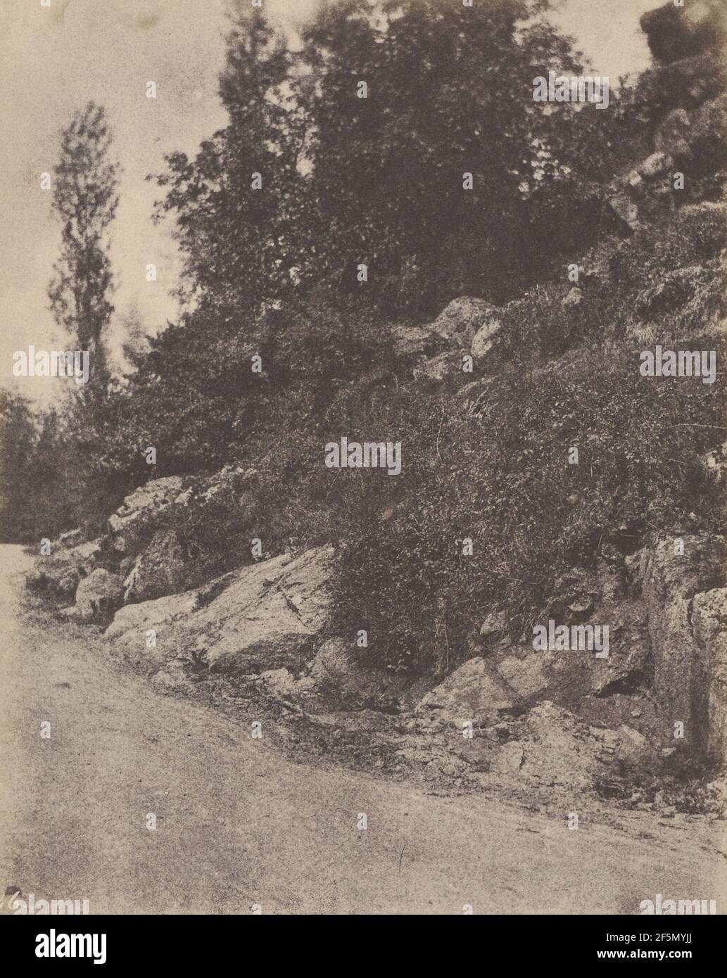 Landschaft mit Straße. Stockfoto
