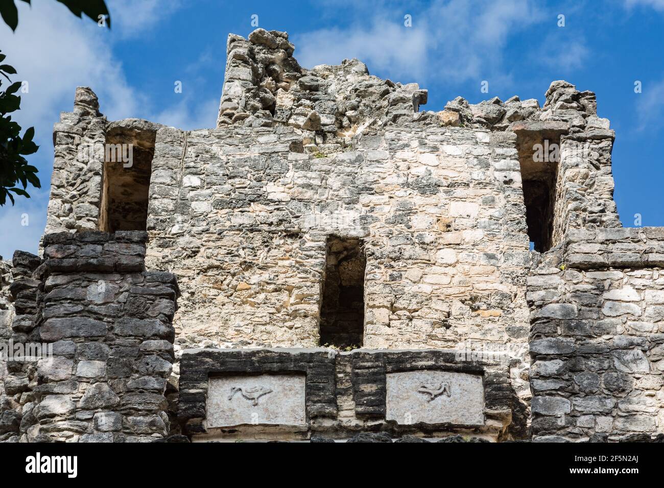 Reiher- oder pelikanähnlicher Stuck auf der Rückseite der El castillo Ruinen in Muyil, Quintana Roo, Halbinsel Yucatan, Mexiko Stockfoto