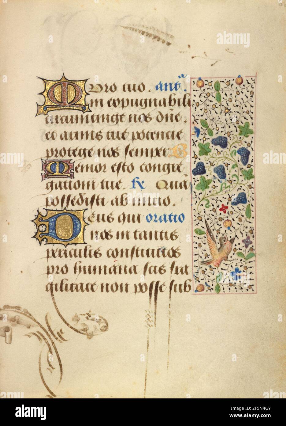 Dekorierte Textseite. Unbekannt Stockfoto