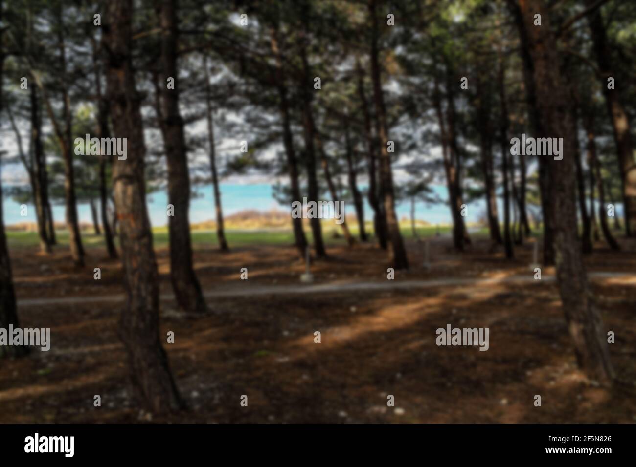 Unverschämter Blick auf den Winter Park am Meer, die Kurstadt Gelendzhik, ein Ort für Picknicks, Laufen, Yoga und einfach nur entspannen. Russland, Schwarzes Meer Stockfoto