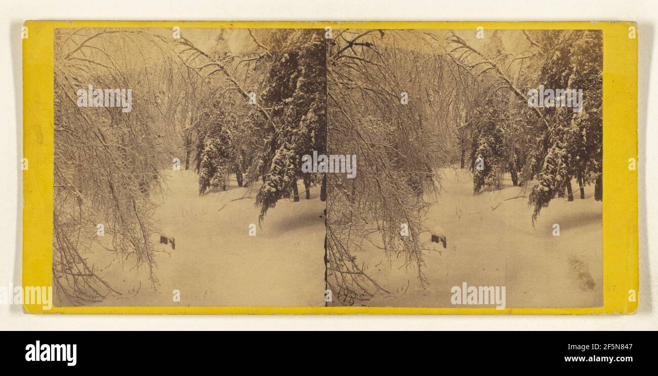 Winter in den Catskills. Eis und Schnee. Edward und Henry T. Anthony ...