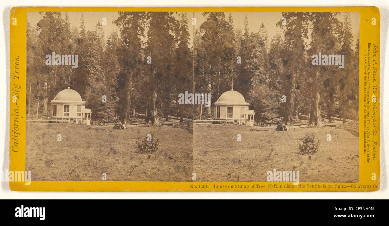Haus auf Baumstumpf, 36 m im Durchm., die Sentinels auf der rechten Seite. - Calaveras Co.. John P. Soule (amerikanisch, 1827 - 1904) Stockfoto