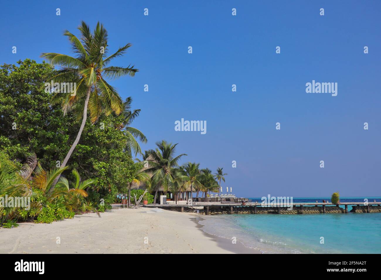 Maledivischer Strand mit Palmen und türkisfarbener Laccadive-See. Meeresküste mit blauem Himmel auf den Malediven. Stockfoto