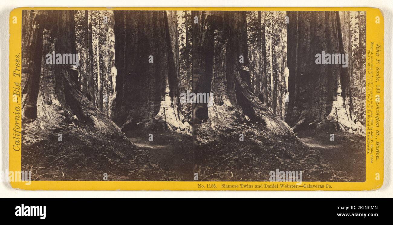 Siam Twins und Daniel Webster, - Calaveras Co.. John P. Soule (amerikanisch, 1827 - 1904) Stockfoto