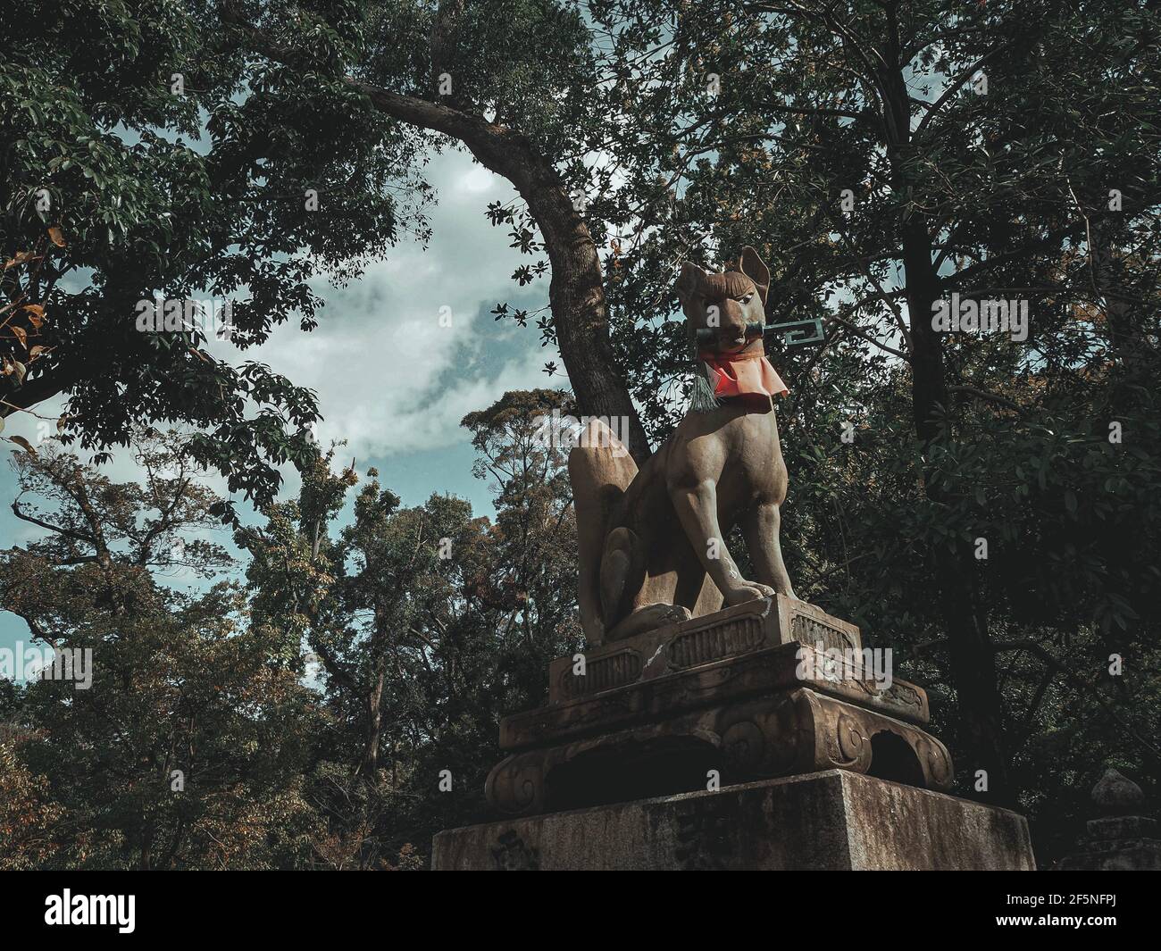 Shizuoka, Japan, 7. Dezember 2019: Wunderschöne Wolfsstatue in japan Stockfoto