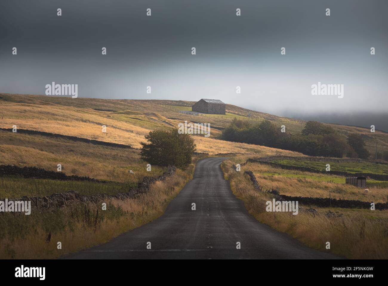 Eine alte Steinscheune und eine leere Landstraße durch eine launische englische ländliche Landschaft im North Pennines AONB, England. Stockfoto