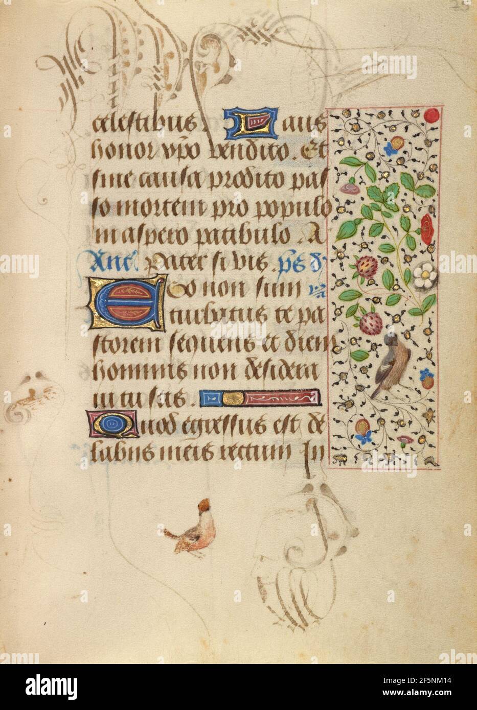 Dekorierte Textseite. Unbekannt Stockfoto