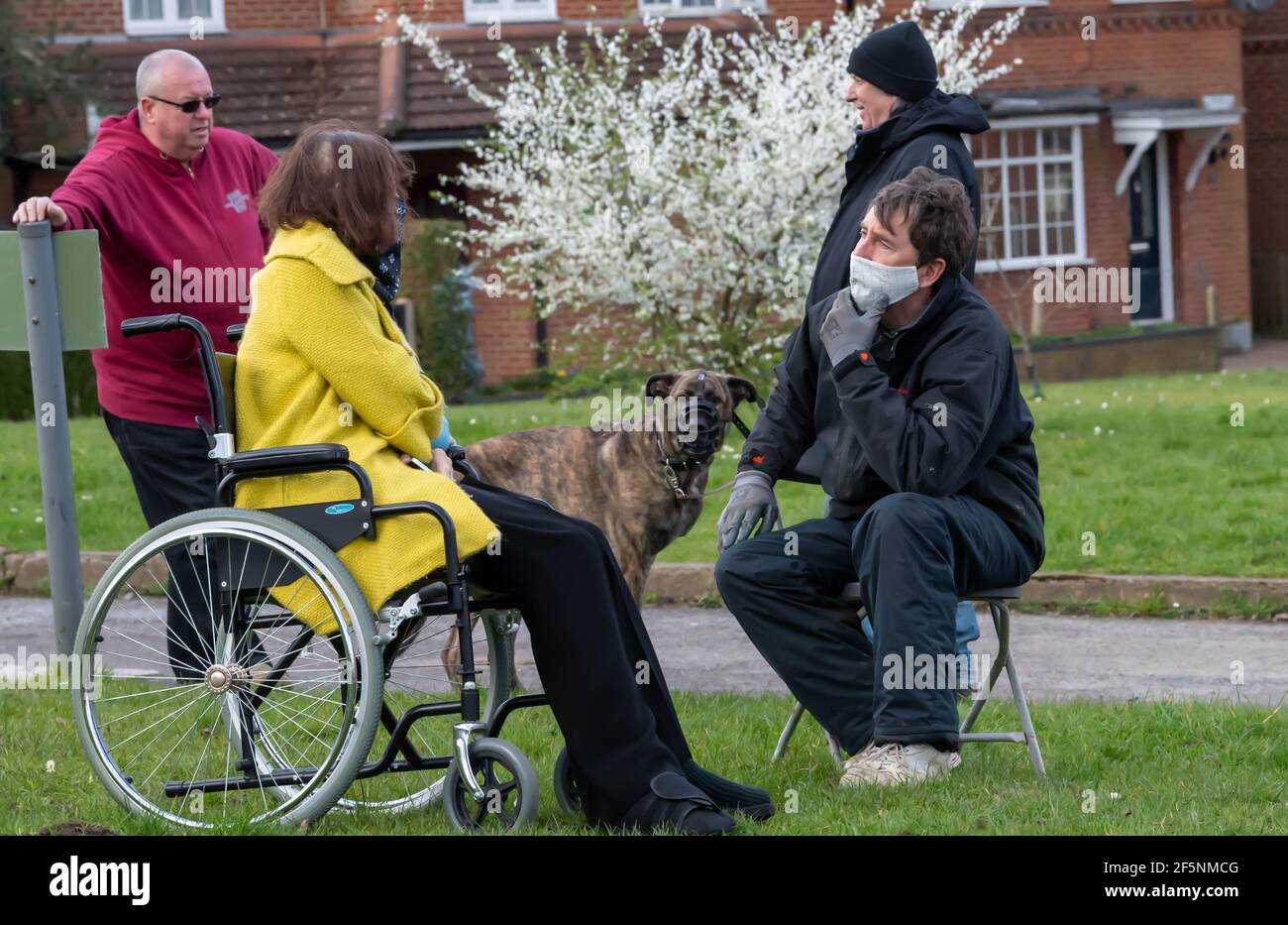 Brentwood Essex 27th. März 2021 Kommunalwahlen; Liberaldemokratin Karen Chilvers (im Rollstuhl in Gelb abgebildet) auf ihrem "Wheels on the Green" Wahlkampfweg in Brentwood Essex. Kredit: Ian Davidson/Alamy Live Nachrichten Stockfoto