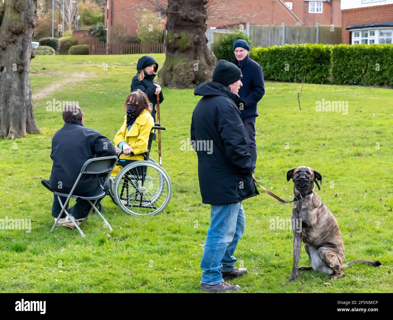 Brentwood Essex 27th. März 2021 Kommunalwahlen; Liberaldemokratin Karen Chilvers (im Rollstuhl in Gelb abgebildet) auf ihrem "Wheels on the Green" Wahlkampfweg in Brentwood Essex. Kredit: Ian Davidson/Alamy Live Nachrichten Stockfoto