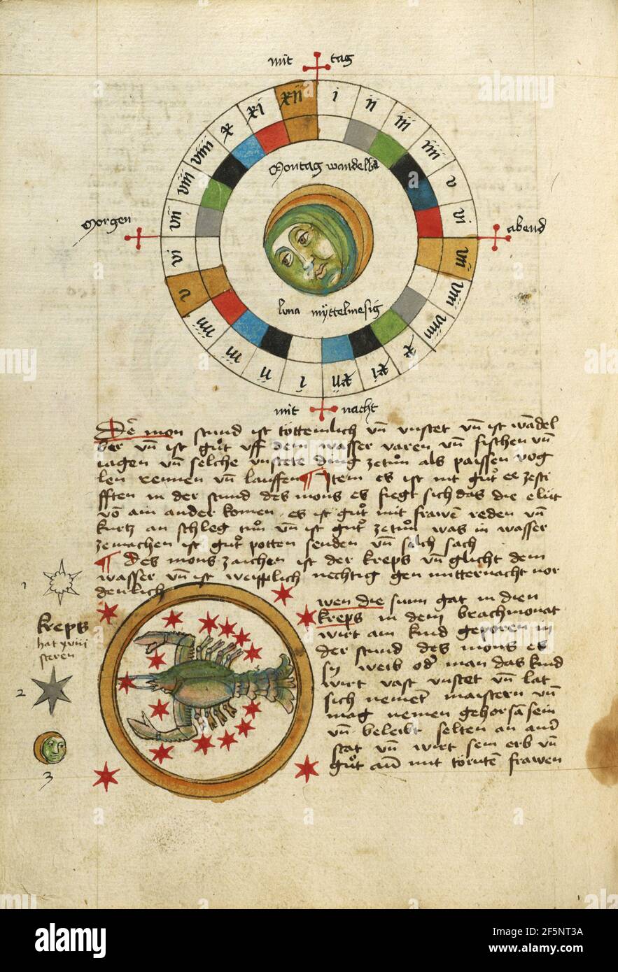 Diagramm für Montag; Krebs. Unbekannt Stockfoto