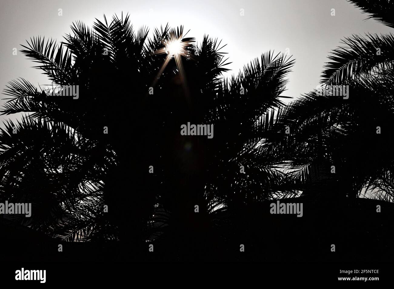 Sakhir, Bahrain. März 2021, 27th. Rundgangatmosphäre - Sonnenuntergang. Großer Preis von Bahrain, Samstag, 27th. März 2021. Sakhir, Bahrain. Quelle: James Moy/Alamy Live News Stockfoto