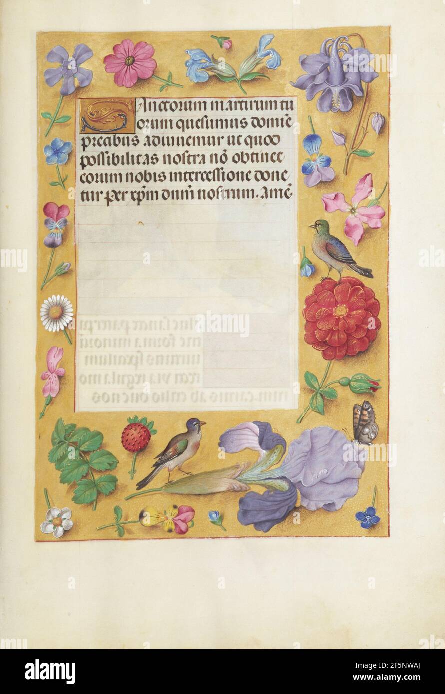 Dekorierte Textseite. Unbekannt Stockfoto