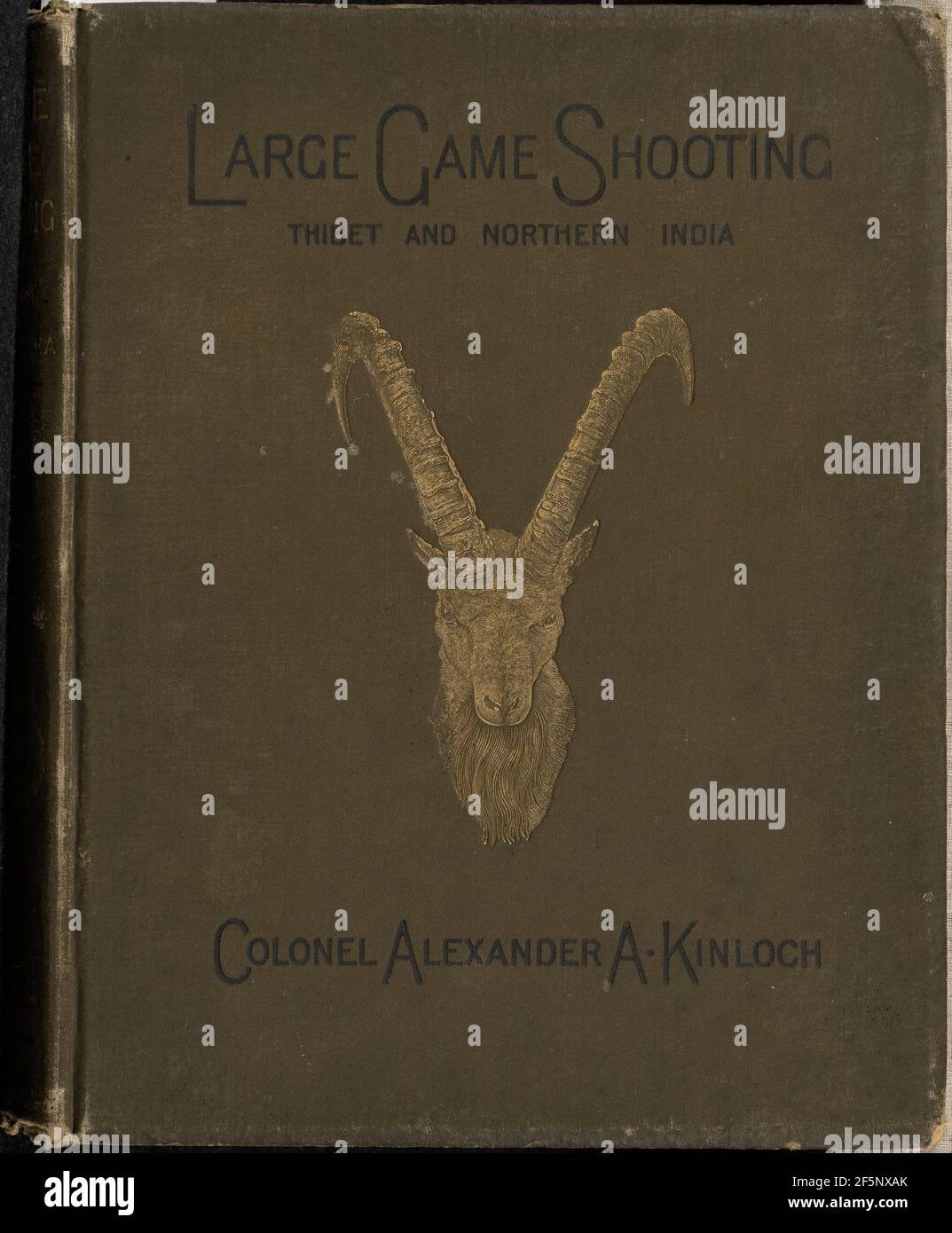 Großwild Shooting in Thibet, dem Himalaya und Nordindien. Illustriert von Photo-Gravures.. Stockfoto