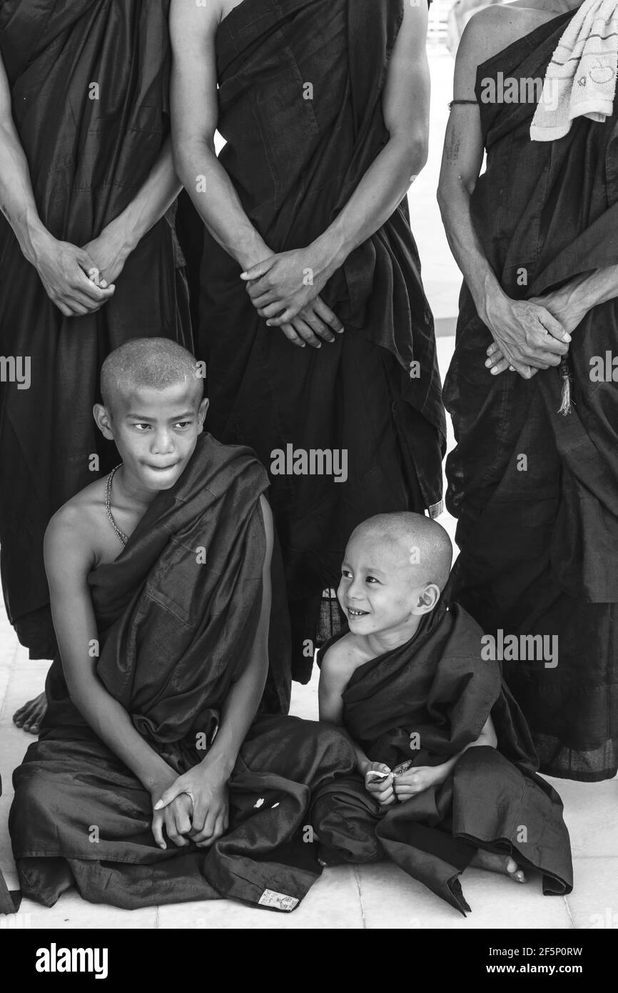 Novizen an der Shwedagon Pagode, Yangon, Myanmar. Stockfoto