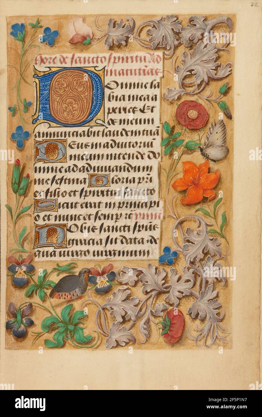 Dekorierte Initiale D. Unbekannt Stockfoto