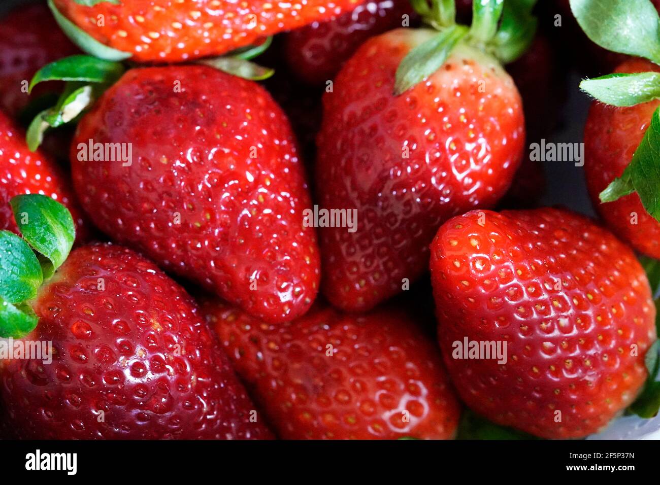 Saftige rote Erdbeeren in Nahaufnahme. Reife, frische Früchte. Gesunde Früchte als Hintergrund. Stockfoto